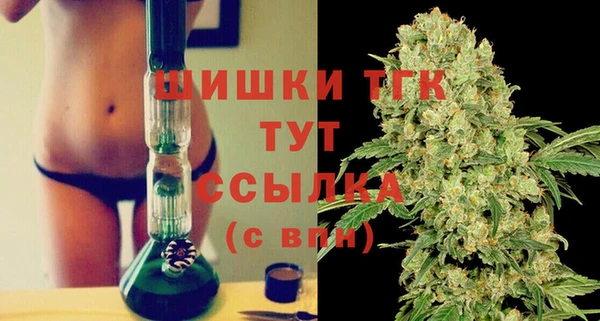 соль ск Алзамай