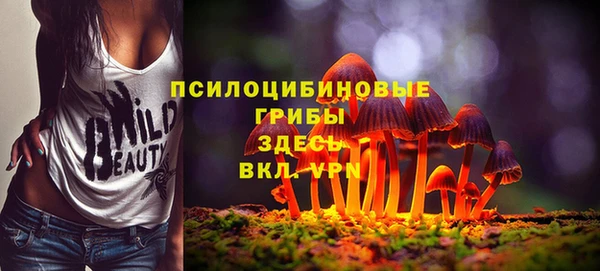 соль ск Алзамай