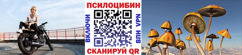 Галлюциногенные грибы Psilocybe  blacksprut ссылки  Обнинск 