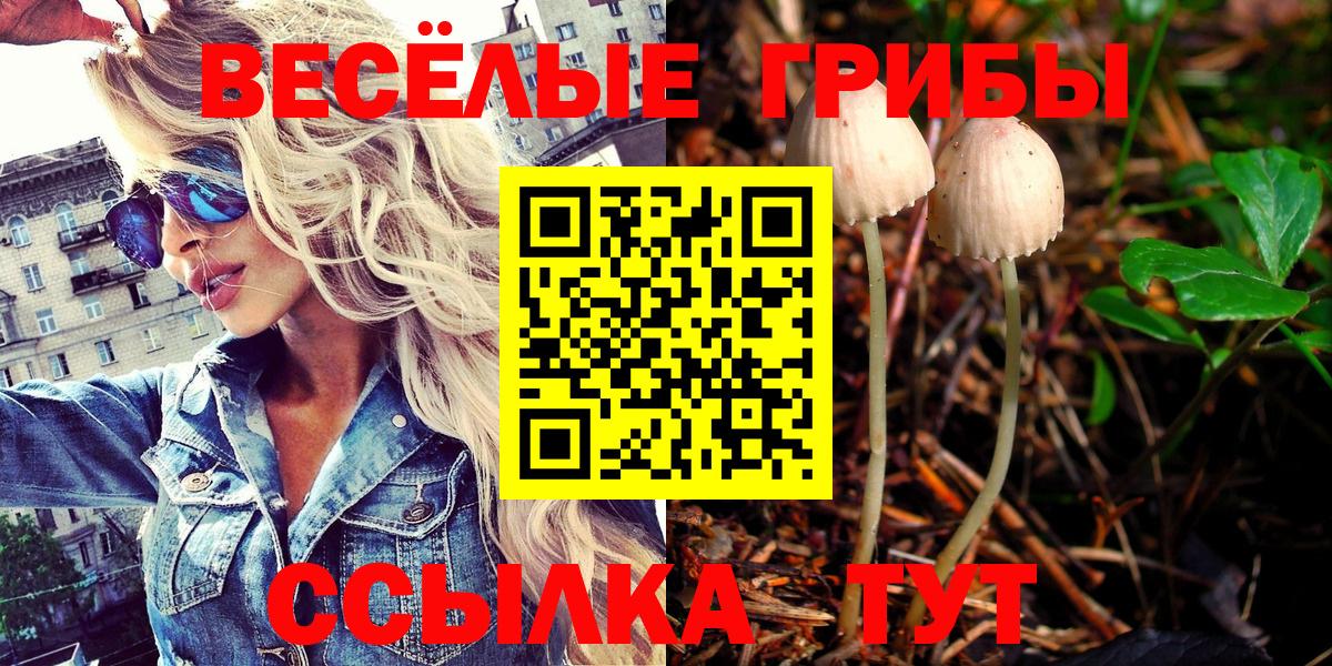 Галлюциногенные грибы мицелий  Вход с VPN  Обнинск  купить наркоту  Псилоцибиновые грибы прущие грибы 