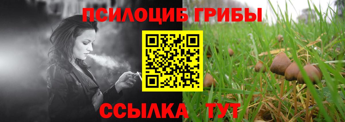 Галлюциногенные грибы ЛСД Обнинск